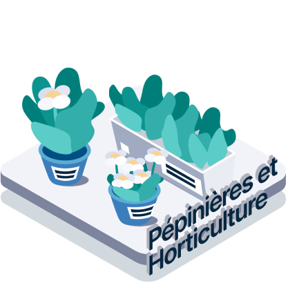 Fleurs de pépinière